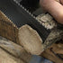 Conifer Cone Butterfly Saw 2 蝴蝶鋸